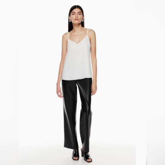 Aritzia Babaton Striped Everly Camisole - Picture 8 of 8